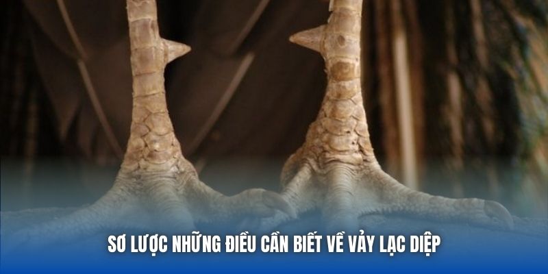 Sơ lược những điều cần biết về vảy lạc diệp